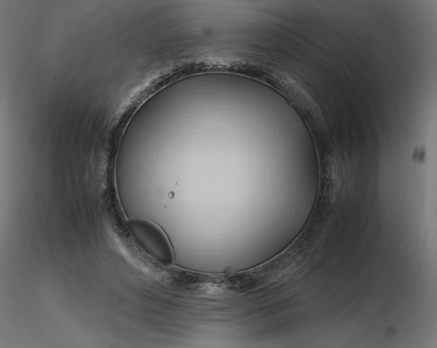 X0000116680496200912291722