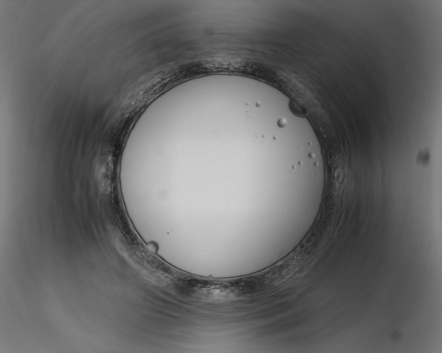 X0000116680498200912291722