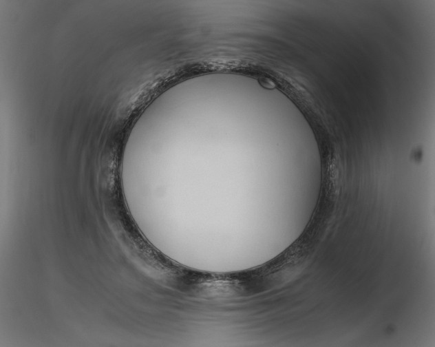 X0000116680499200912291722