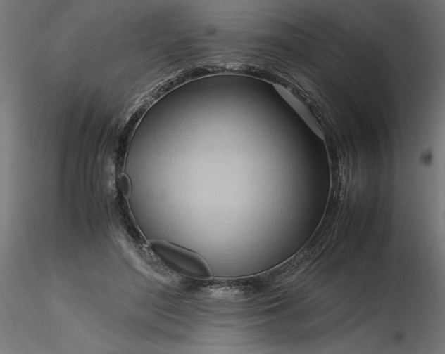 X0000116680500200912291722