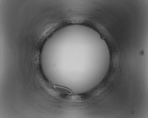 X0000116680501200912291722