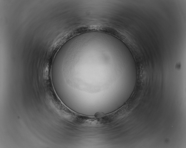 X0000116680502200912291722