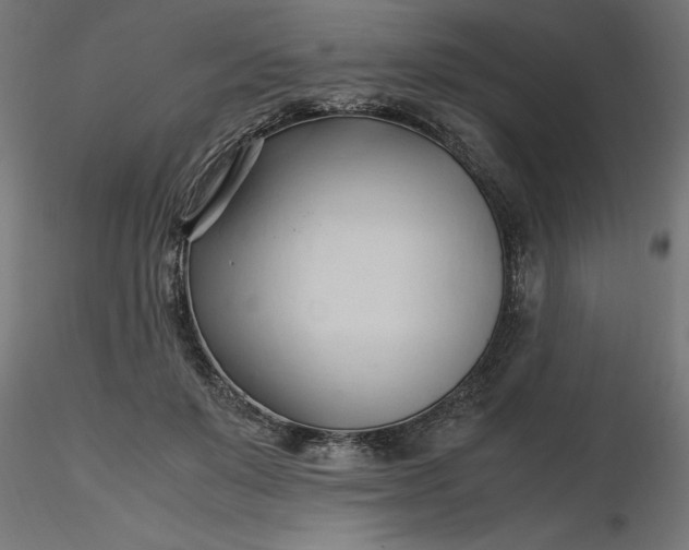 X0000116680503200912291722