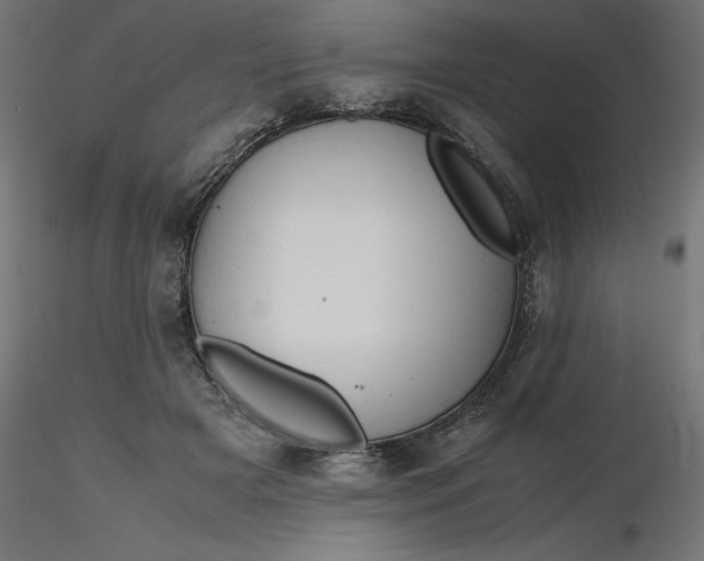 X0000116680505200912291722