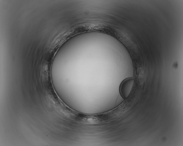 X0000116680506200912291722