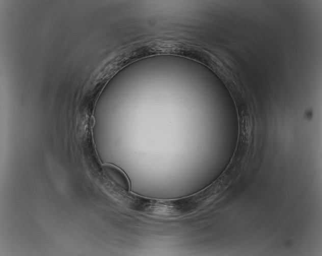 X0000116680507200912291722