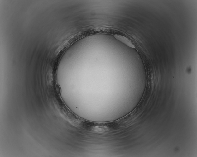 X0000116680508200912291722