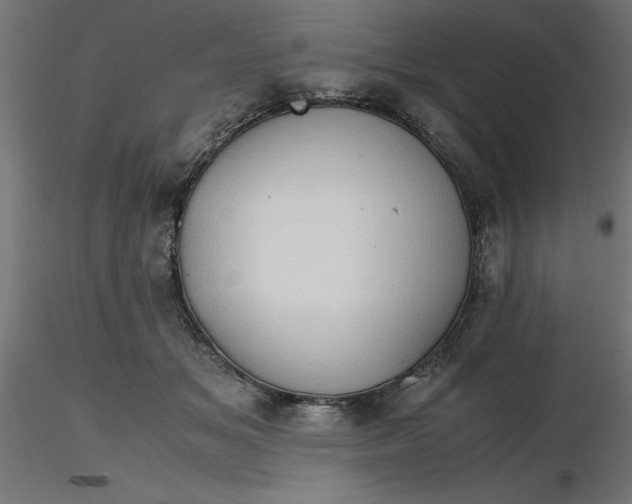 X0000116680509200912291722