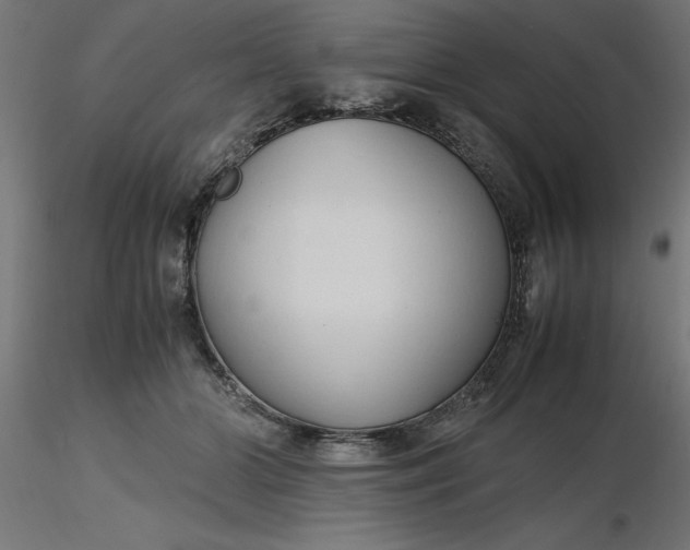 X0000116680510200912291722