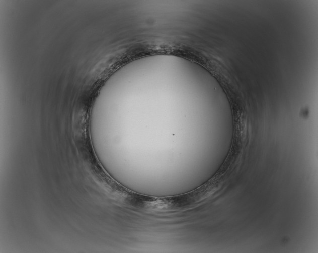 X0000116680511200912291722