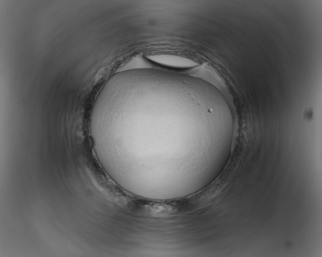 X0000116680512200912291722