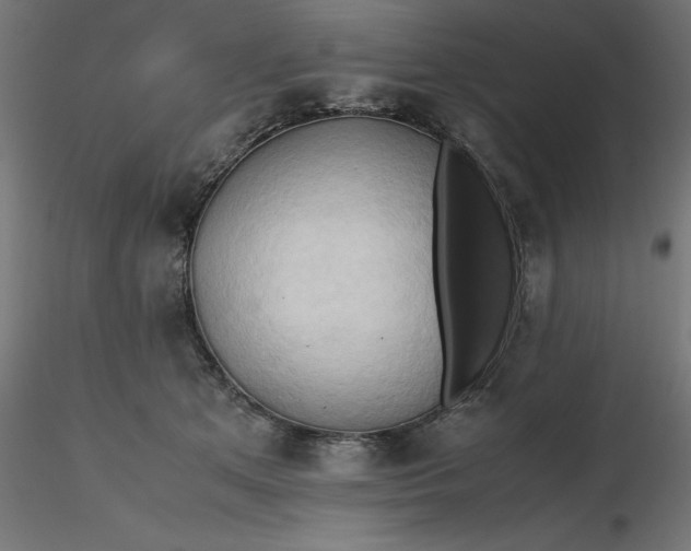 X0000116680513200912291722