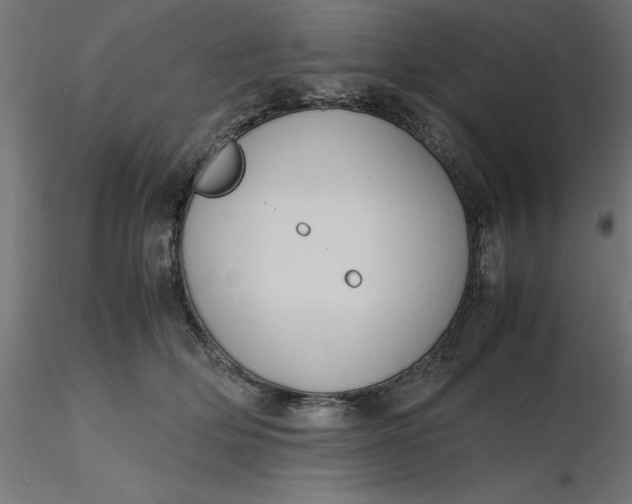 X0000116680514200912291722