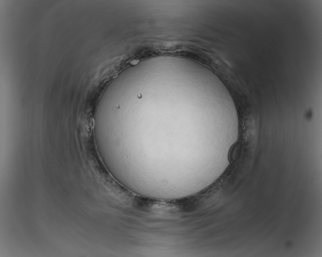 X0000116680515200912291722