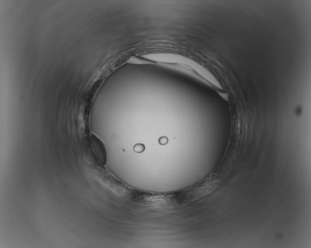 X0000116680516200912291722