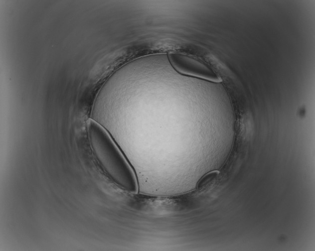 X0000116680517200912291722