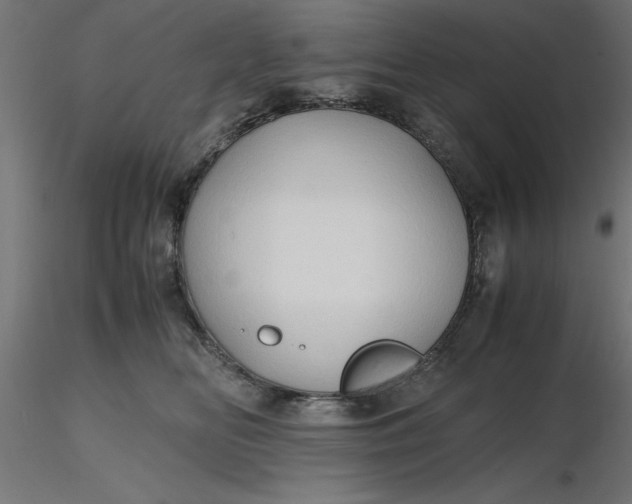 X0000116680518200912291722