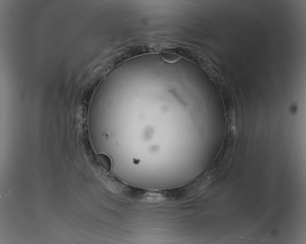 X0000116680519200912291722