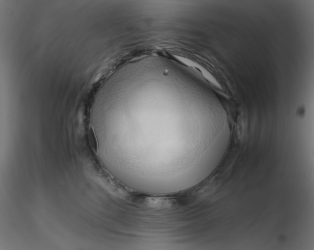 X0000116680520200912291722