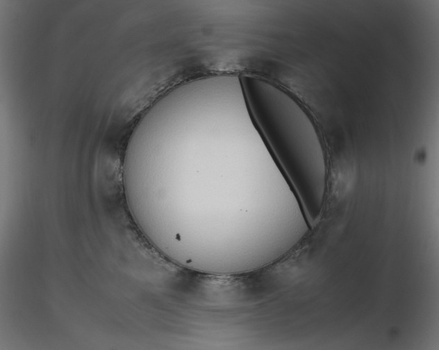 X0000116680521200912291722