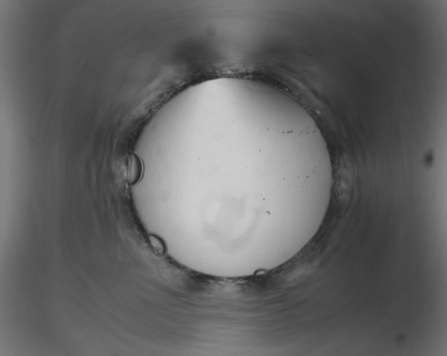 X0000116680523200912291722