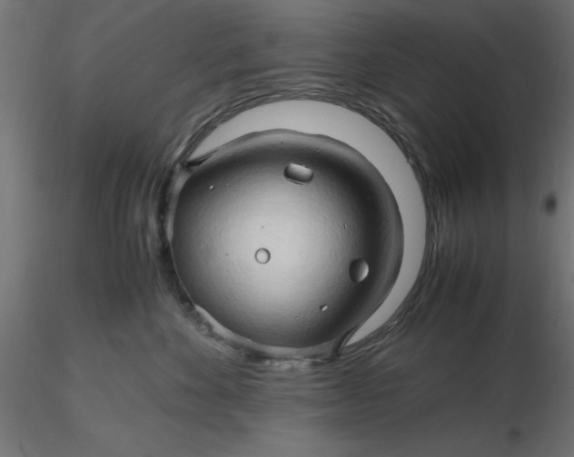 X0000116680524200912291722