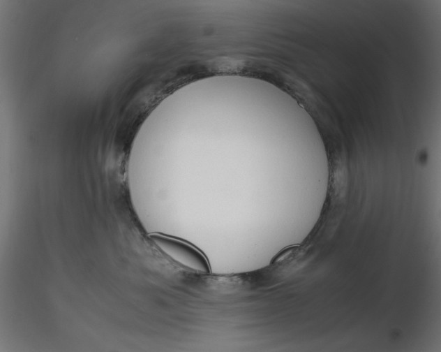 X0000116680525200912291722