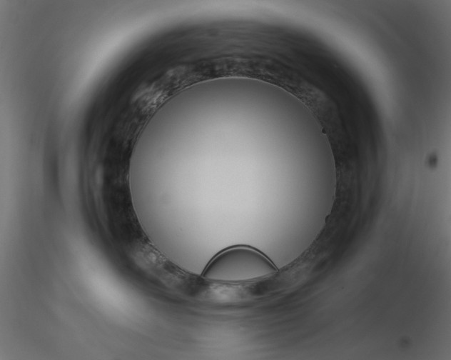 X0000116680526200912291722