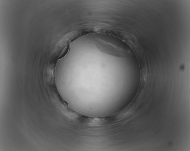 X0000116680527200912291722