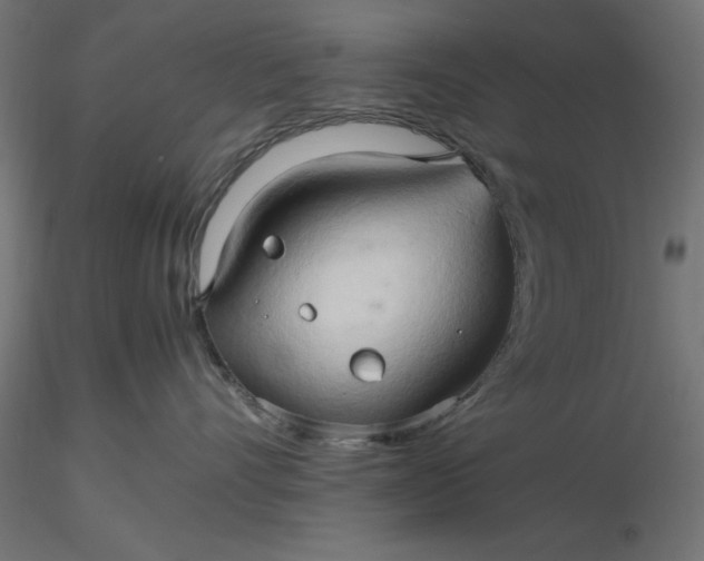 X0000116680528200912291722