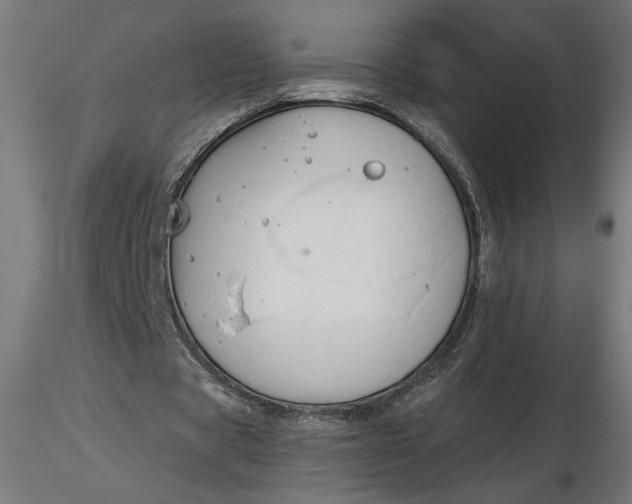 X0000116680529200912291721