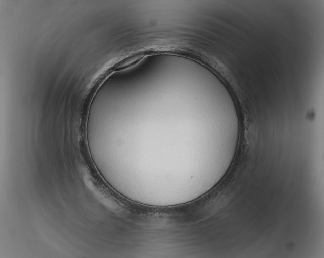 X0000116680530200912291721