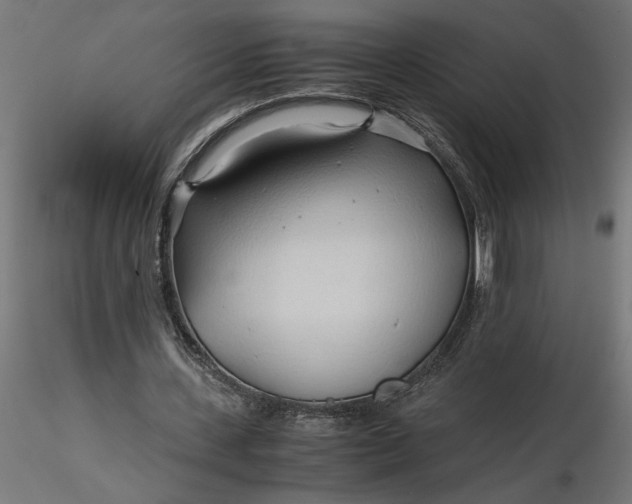 X0000116680531200912291721