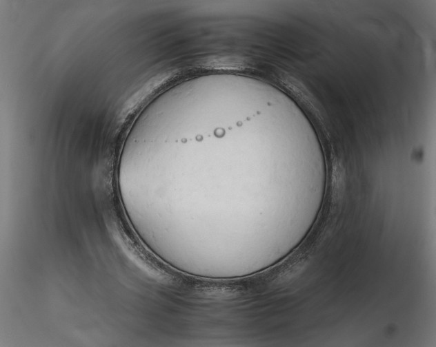 X0000116680533200912291721