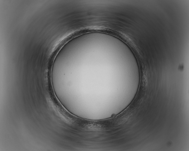 X0000116680535200912291721