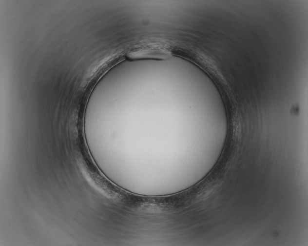 X0000116680538200912291721