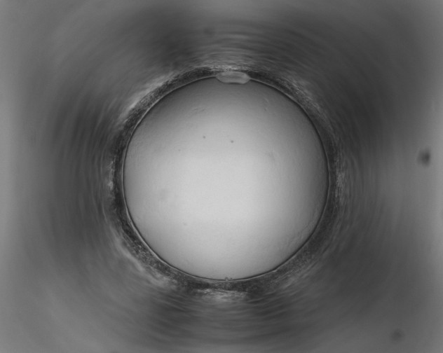 X0000116680539200912291721