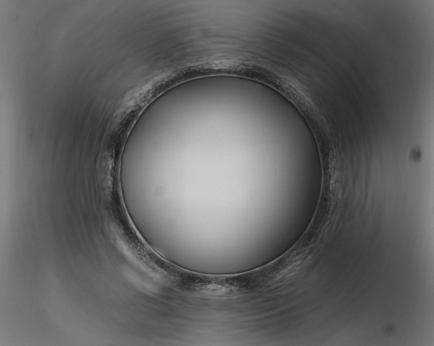 X0000116680542200912291721