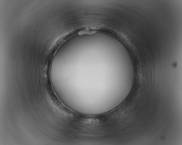 X0000116680543200912291721