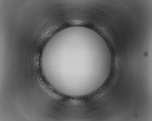 X0000116680545200912291721