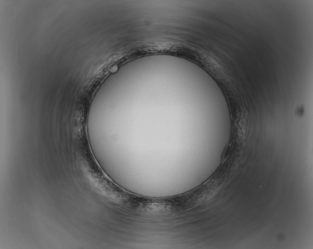 X0000116680546200912291721