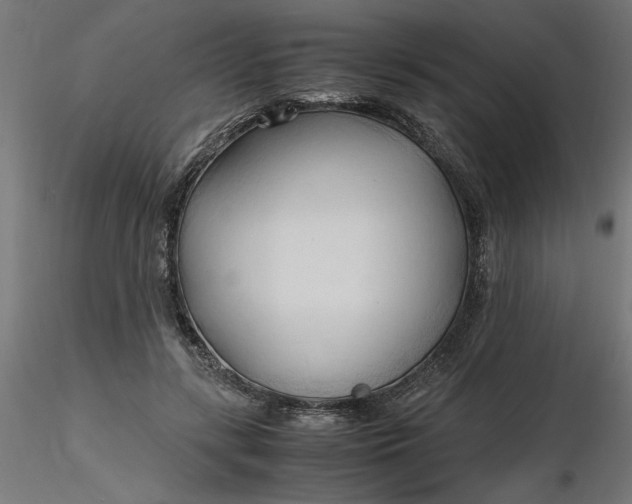 X0000116680547200912291721