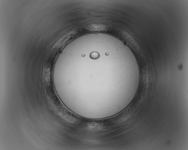 X0000116680549200912291721