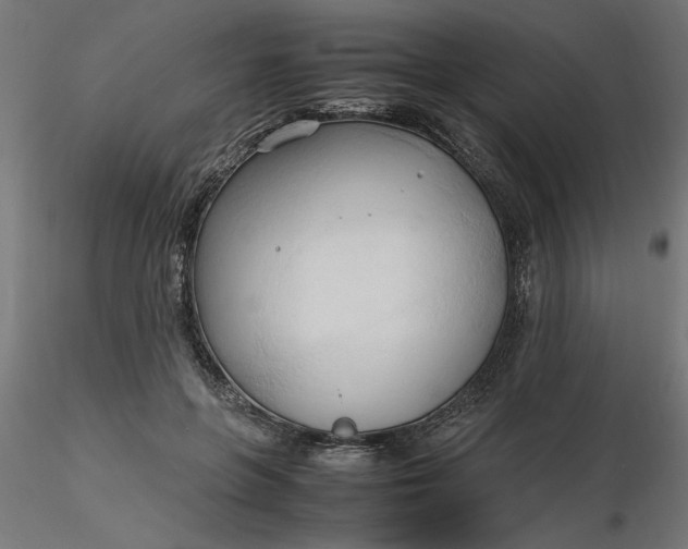 X0000116680551200912291721