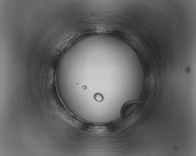 X0000116680554200912291721