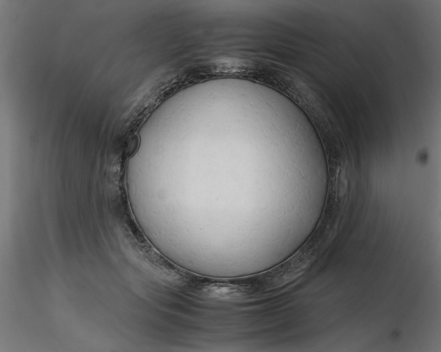 X0000116680557200912291722