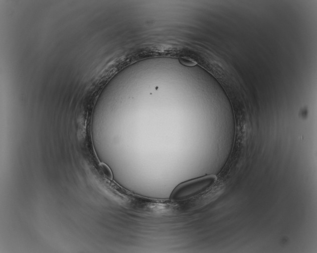 X0000116680558200912291722