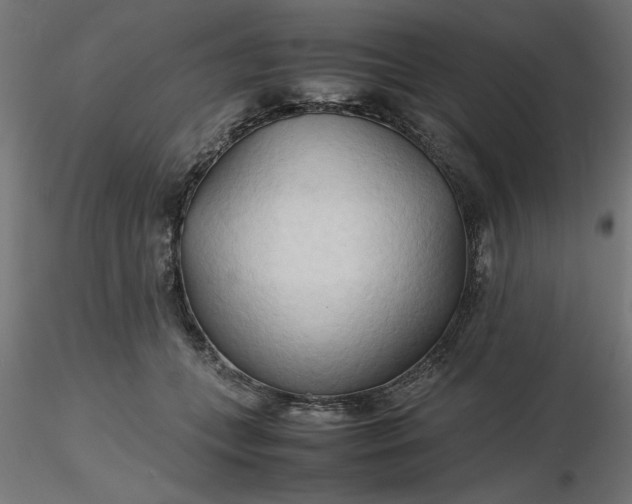 X0000116680559200912291722