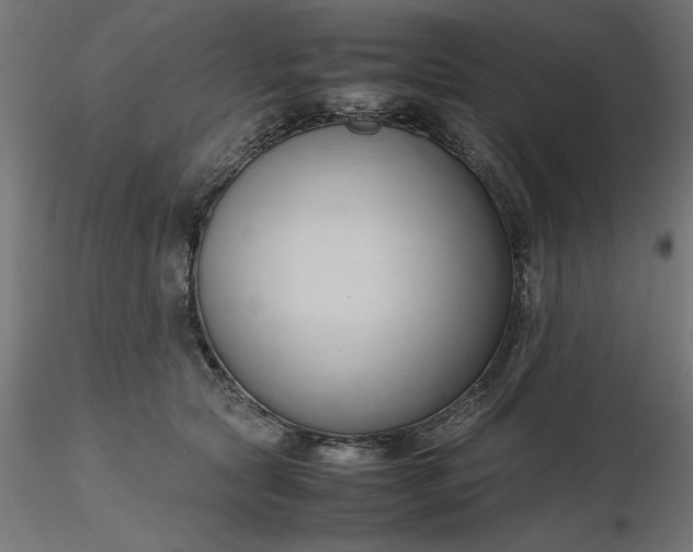 X0000116680561200912291722