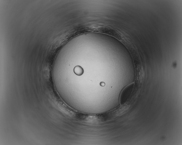 X0000116680562200912291722